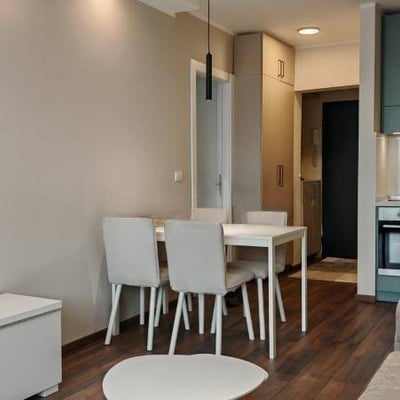 Vermietung einer möblierten 2-Zimmer-Wohnung im Stadtzentrum, 45 m², Belgrad, Serbien